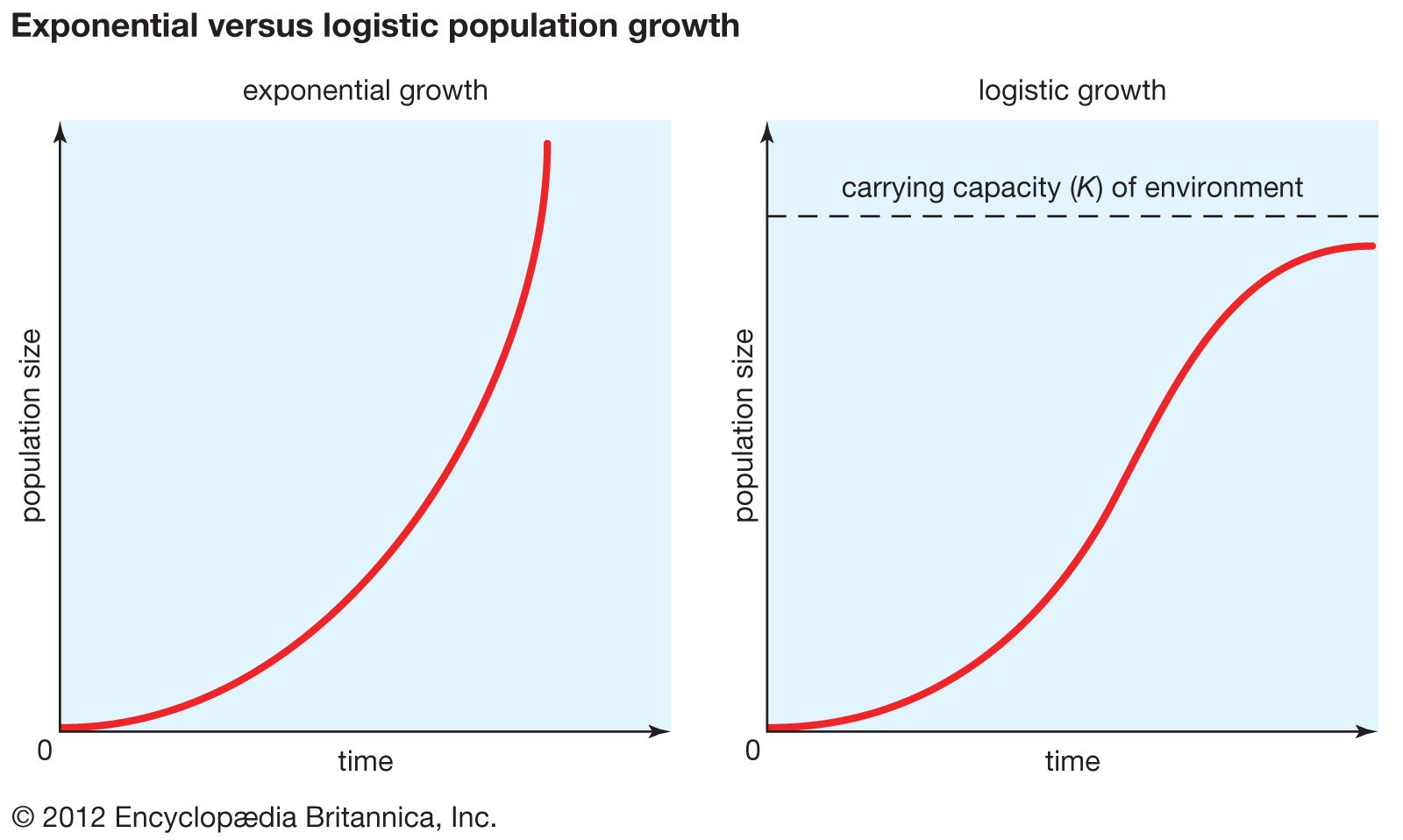 exponential vs logistic growth